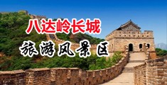 日屄网站h中国北京-八达岭长城旅游风景区